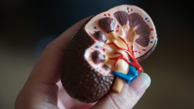 Cancer du foie