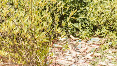 Traité mondial 2025 sur la pollution plastique