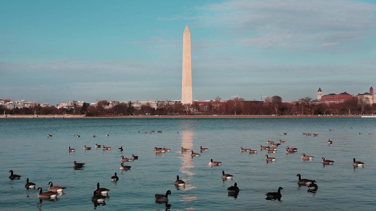 Washington