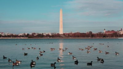 Washington