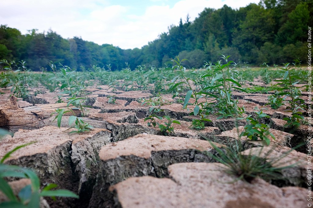 L’Europe souffre d’une sécheresse historique