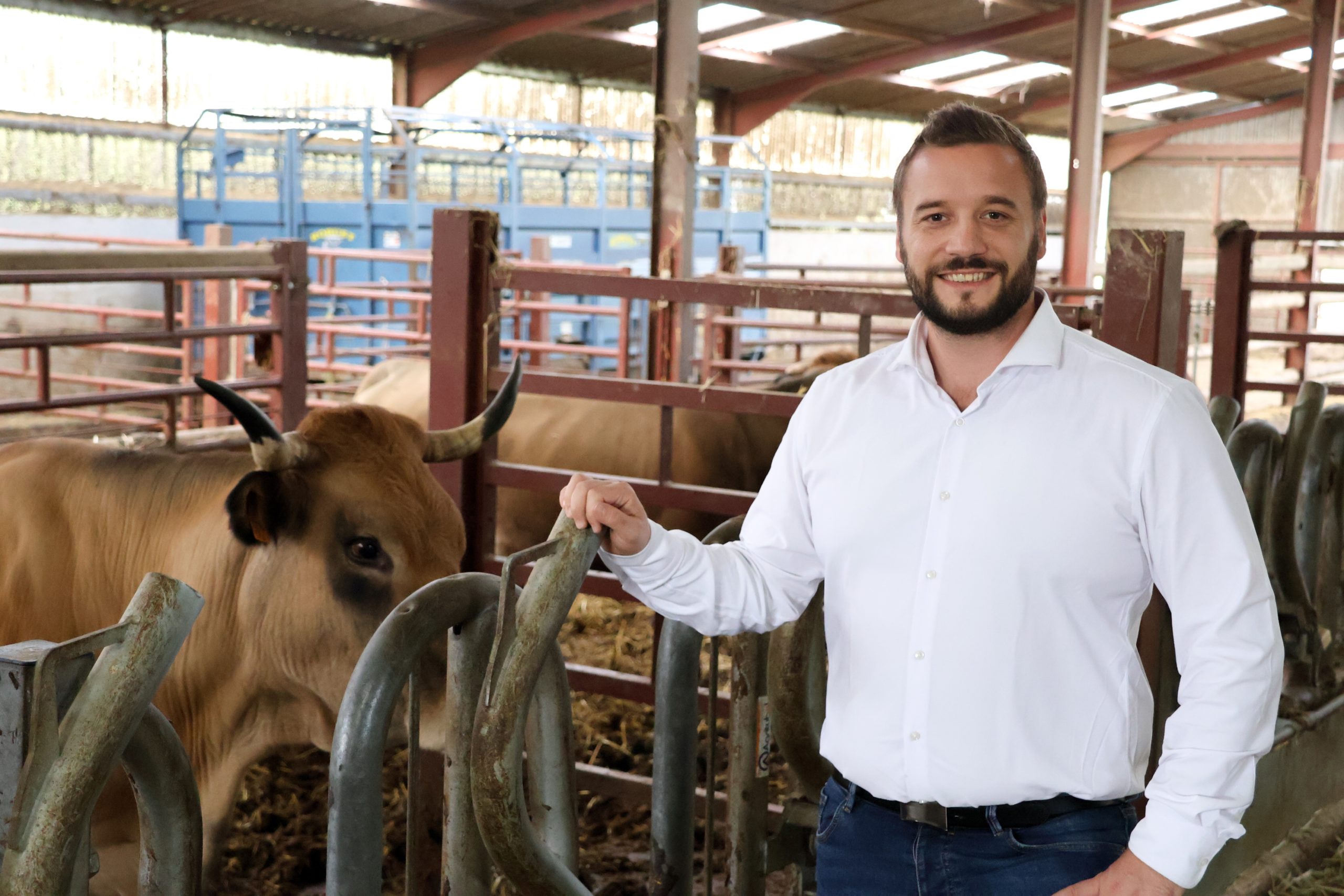 Antoine Villedieu, député RN de Haute-Saône, découvert blessé au crâne