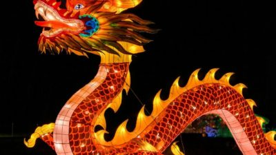 Dragons, elfes… et argent public : ce que France Travail a laissé passer
